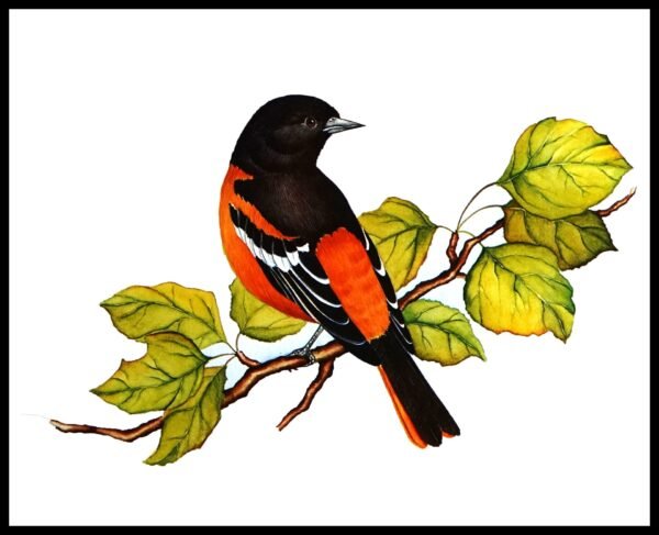 AK L4551 Feathered Friends